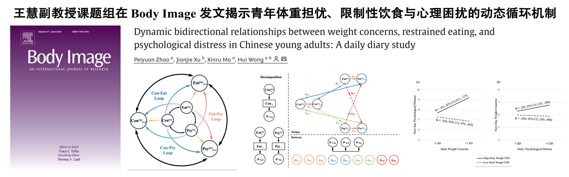王慧副教授课题组在Body Image发文揭示青年体重担忧、限制性饮食与心理困扰的动态循环机制